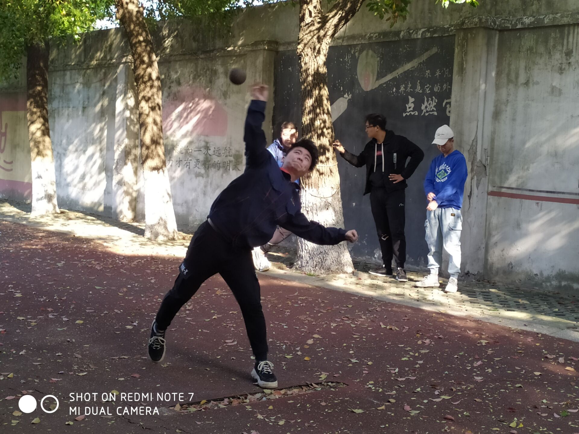 1554951056248045162.jpg 12.jpg