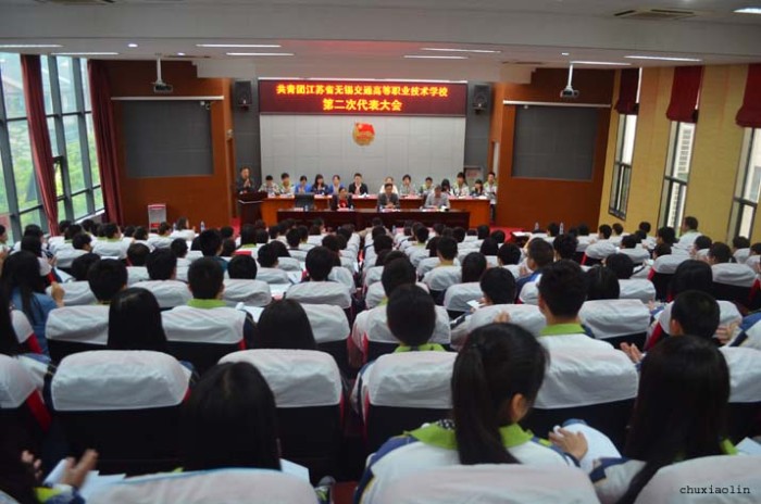 共青团凤凰体育第二次代表大会隆重举行